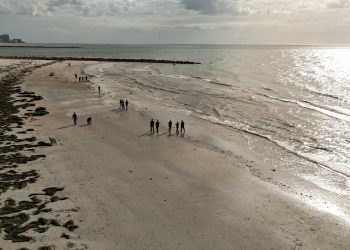 Rijetke bakterije koje jedu meso već su ove godine ubile četiri plaže na Floridi