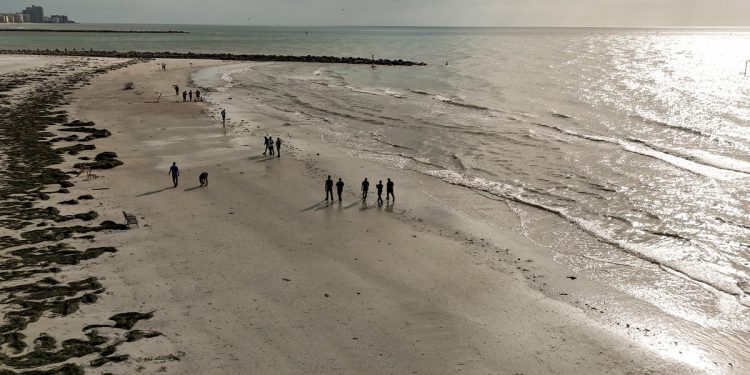 Rijetke bakterije koje jedu meso već su ove godine ubile četiri plaže na Floridi