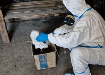 Rusija traži od čuvara kemijskog oružja da istražuje Ukrajinu – RT Rusija i bivši Sovjetski Savez