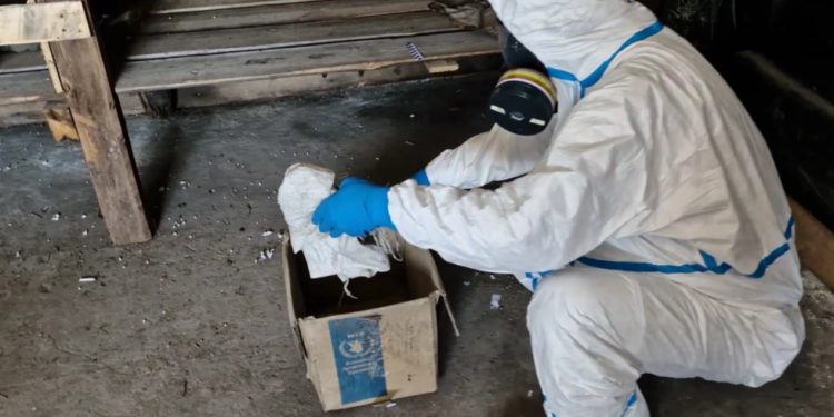 Rusija traži od čuvara kemijskog oružja da istražuje Ukrajinu – RT Rusija i bivši Sovjetski Savez