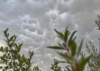 SPEKTAKL NA NEBU Znate li po kojem dijelu tijela su ovi oblaci dobili ime?