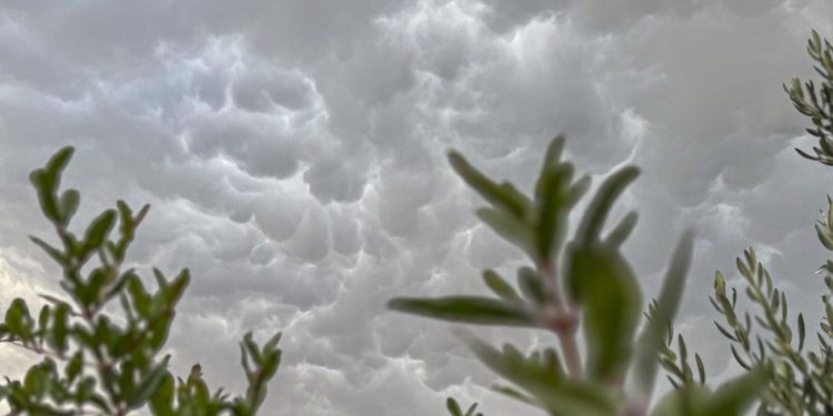 SPEKTAKL NA NEBU Znate li po kojem dijelu tijela su ovi oblaci dobili ime?