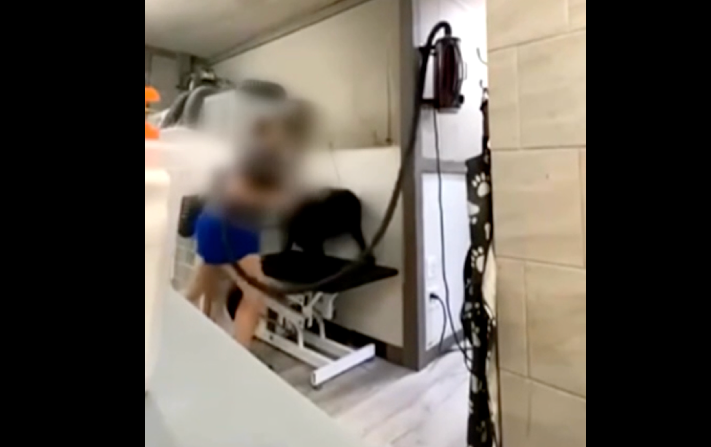 Snimke su otkrile „zabrinjavajuće ponašanje koje je uključivalo najmanje četiri odvojena psa“ koji su se liječili na jasno agresivan i nasilni način, kaže policija