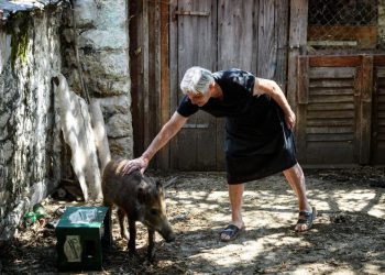Šibenski – Čudo neviđeno pokraj Boraje