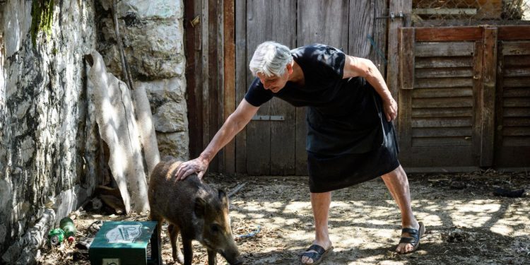 Šibenski – Čudo neviđeno pokraj Boraje