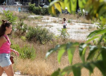 Slobodna Dalmacija – Biološki uljez širi se brzo i uništava sve pred sobom. Pogledajte kako razara Dalmaciju i gdje se sve zavukao!