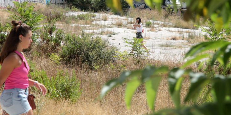 Slobodna Dalmacija – Biološki uljez širi se brzo i uništava sve pred sobom. Pogledajte kako razara Dalmaciju i gdje se sve zavukao!