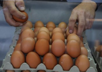 Slobodna Dalmacija – Brojke ne lažu! Skuplja jaja i piletina. Što nas čeka ovog ljeta i hoće li vaš novčanik izdržati novi udar većih cijena?