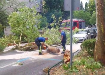 Slobodna Dalmacija – Drama na Bačvicama, kraj kultnog hotela palo golemo stablo, vatrogasci u akciji