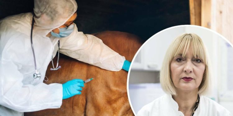 Slobodna Dalmacija – Epidemiolozi hitno stigli na teren: Bedrenici je bilo izloženo i desetero ljudi, osmero smo ih odmah stavili na tretman!