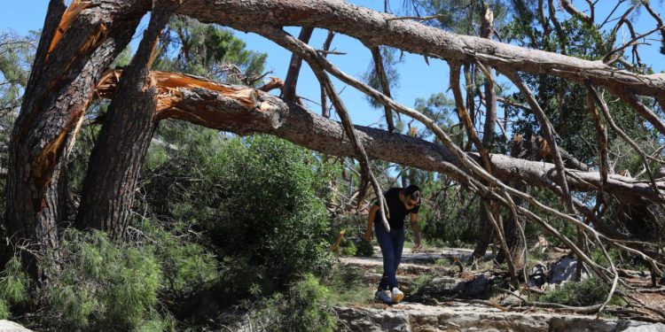 Slobodna Dalmacija – Je li jednoj skupini Splićana gotovo s kupanjem za ovo ljeto? Iz Grada poručuju: ‘Situacija je ozbiljna, apeliramo…‘