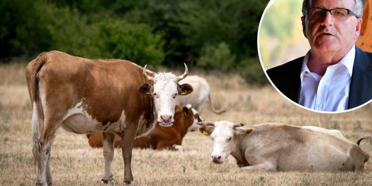 Slobodna Dalmacija – Na sumnju u zaraznu bolest nekad se i vojsku angažiralo; zašto je reakcija na bedrenicu u Maovicama nedopustivo kasnila?