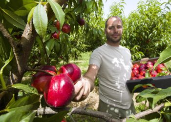 Slobodna Dalmacija – Nebo im uzme, ali država vraća! Znate li kako? Milijuni eura čekaju, prijavite se prije nego bude kasno