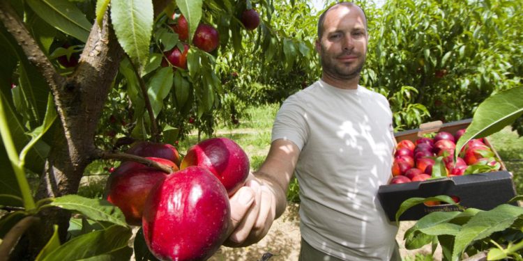 Slobodna Dalmacija – Nebo im uzme, ali država vraća! Znate li kako? Milijuni eura čekaju, prijavite se prije nego bude kasno