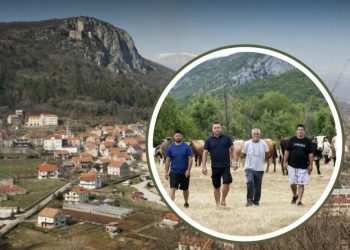 Slobodna Dalmacija – Ovo se pretvara u pravu katastrofu! Zaraza uništava turizam u Zagori, a sve bi moglo trajati godinama: ‘Svi otkazuju…’