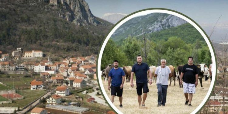 Slobodna Dalmacija – Ovo se pretvara u pravu katastrofu! Zaraza uništava turizam u Zagori, a sve bi moglo trajati godinama: ‘Svi otkazuju…’