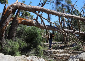 Slobodna Dalmacija – Poznato kakvo je stanje na Marjanu; poslali su ozbiljno upozorenje: ‘Bene još mjesecima neće biti otvorene!’