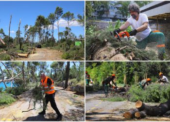 Slobodna Dalmacija – Splitom odjekuju zvuci motorne pile; obišli smo najkritičnije dijelove grada, prizori su užasni: ‘Trajat će mjesecima’