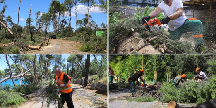 Slobodna Dalmacija – Splitom odjekuju zvuci motorne pile; obišli smo najkritičnije dijelove grada, prizori su užasni: ‘Trajat će mjesecima’