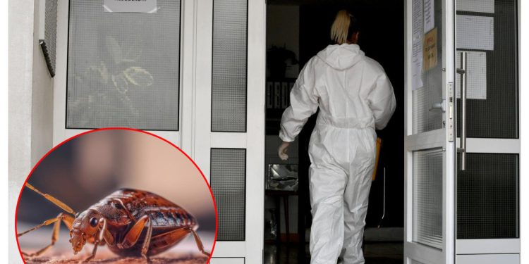 Slobodna Dalmacija – Stanari splitske zgrade u panici: ‘Susjed ima u stanu stjenice, a ne želi platiti dezinsekciju!’; Zvali smo upravitelje