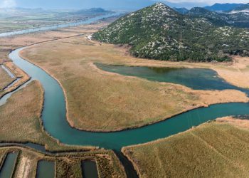 Slobodna Dalmacija – Što je ovo?! U Neretvi otkriveno neobično morsko stvorenje, nevjesta se pohvalila svekrovim ulovom…