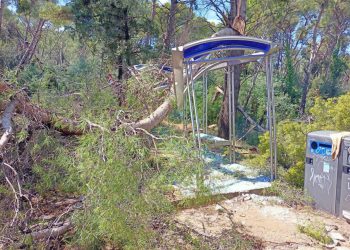 Slobodna Dalmacija – VIDEO Katastrofa na Marjanu! Stradalo više od 200 stabala, razmjeri štete su nevjerojatni; pogledajte devastaciju