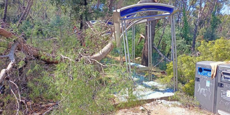 Slobodna Dalmacija – VIDEO Katastrofa na Marjanu! Stradalo više od 200 stabala, razmjeri štete su nevjerojatni; pogledajte devastaciju