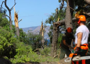 Slobodna Dalmacija – Vlasnici na Marjanu ispalili: ‘Kad smo ilegalni, onda smo u park-šumi, a kad treba sanirati štetu od nevere, onda nismo’