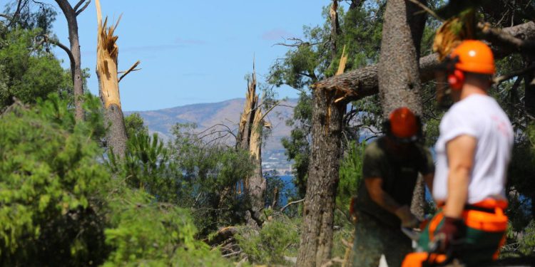 Slobodna Dalmacija – Vlasnici na Marjanu ispalili: ‘Kad smo ilegalni, onda smo u park-šumi, a kad treba sanirati štetu od nevere, onda nismo’