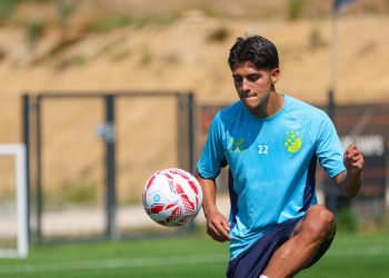 Sportske novosti – Dinamovo hit-pojačanje: ‘Stojković je sjajan! Iskreno, nisam znao tko je Boban. A onda sam otišao na Google…’