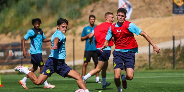 Sportske novosti – On će biti najvažnije pojačanje Dinama, a Modri trenutačno nemaju nositelja kvalitete