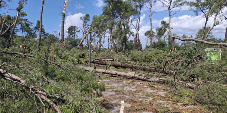 Šteta na Marjanu je nemjerljiva: “U 15 minuta je uništeno 100 godina rasta”