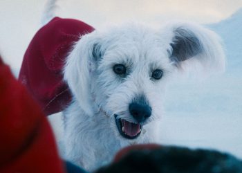 Što lik iznenađenja koji je nazvao Superman ab! Tch znači za budućnost DCU -a