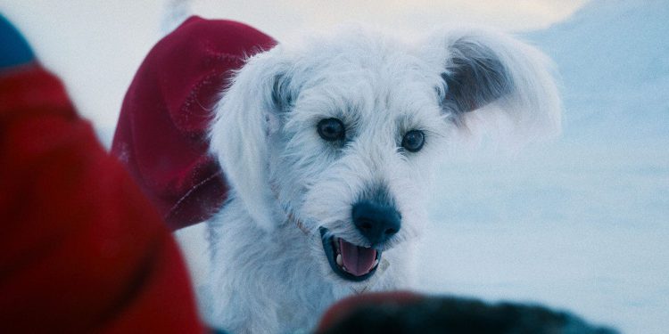 Što lik iznenađenja koji je nazvao Superman ab! Tch znači za budućnost DCU -a