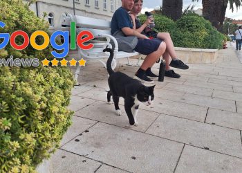 Strani gosti Tomiju daju više recenzija nego Dioklecijanovoj palači i Marjanu: “Sigurno zna lokacije najsvježije ribe u gradu”