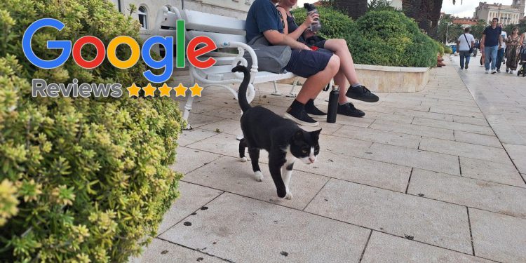 Strani gosti Tomiju daju više recenzija nego Dioklecijanovoj palači i Marjanu: “Sigurno zna lokacije najsvježije ribe u gradu”