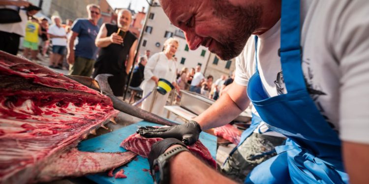 TUNAFEST U svom premijernom izdanju u Rovinju oduševio i domaće i strance