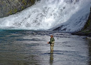 Tjedna analiza Zorana Metera: Europo, probudi se iz bunila! Ne spašavaju elite Ukrajinu, već same sebe