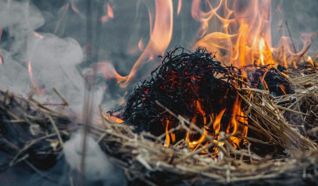 Tri osobe sankcionirane zbog izazivanja požara u Tomislavgradu i Drvaru