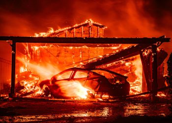 Trump administrator demontira ‘kritične’ dijelove odgovora Kalifornije na požare