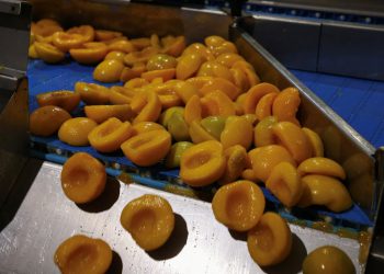 Trumpove tarife pogodile su breskve dok se Grčka boji udubljenja u potražnji