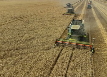 Tržišne aktivnosti velikih kompanija ohrabruju, ali za oporavak nisu dovoljne