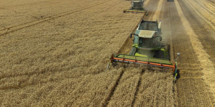 Tržišne aktivnosti velikih kompanija ohrabruju, ali za oporavak nisu dovoljne