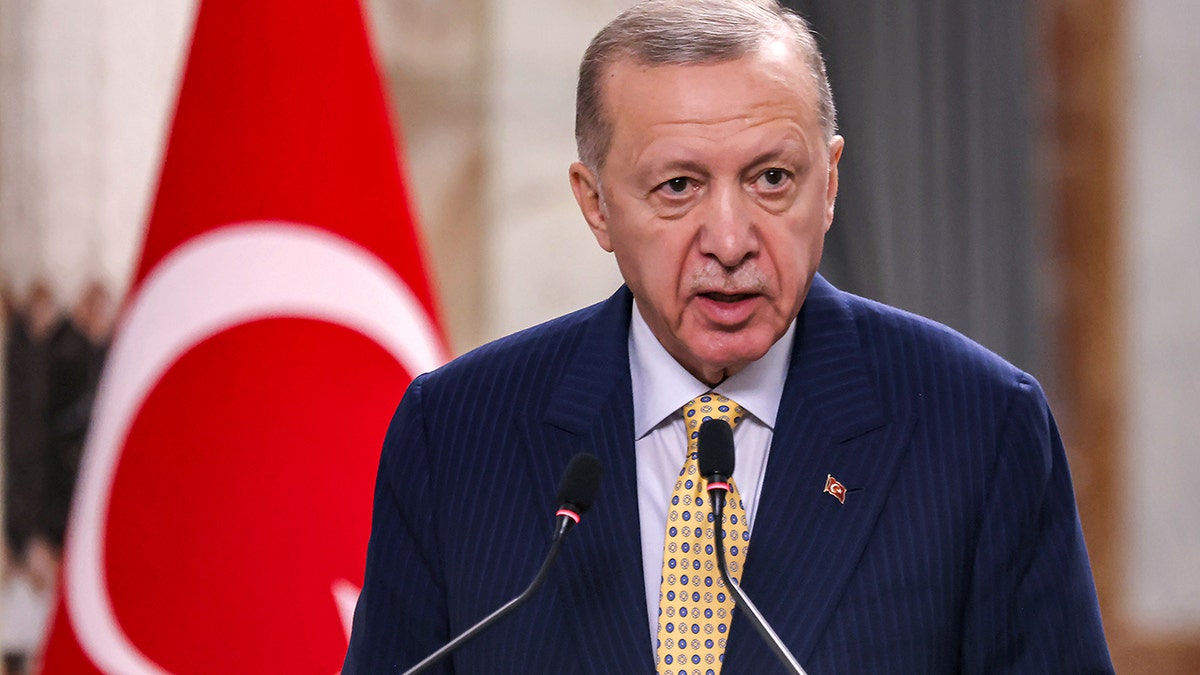 Turska-Erdogan-Eurovision