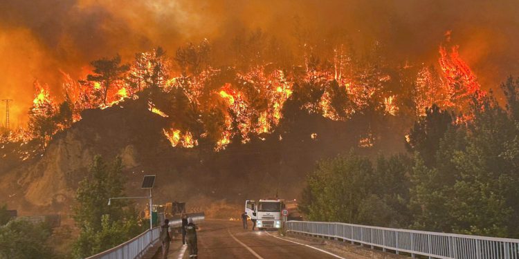 Turska divljina 10 mrtvih | Neovisan