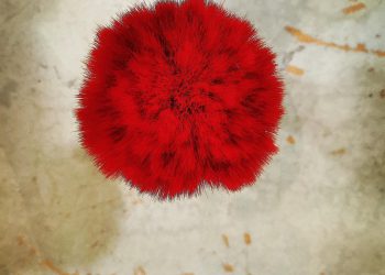 U Baroknoj kući u Ninu predstavit će se Željka Tomaš