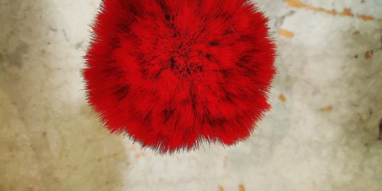 U Baroknoj kući u Ninu predstavit će se Željka Tomaš