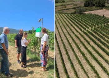 U Lovornom polju postavljena pametna lovka za štetnike u poljoprivredi, dobili i dron za skeniranje i analizu usjeva