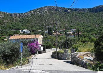 U ponedjeljak zamagljivanje komaraca u Orašcu, Trstenom, Brsečinama i Dubravici