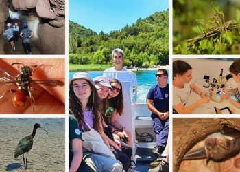 U proteklih sedam dana u NP “Krka” uočeno preko dvadeset i pet novih vrsta